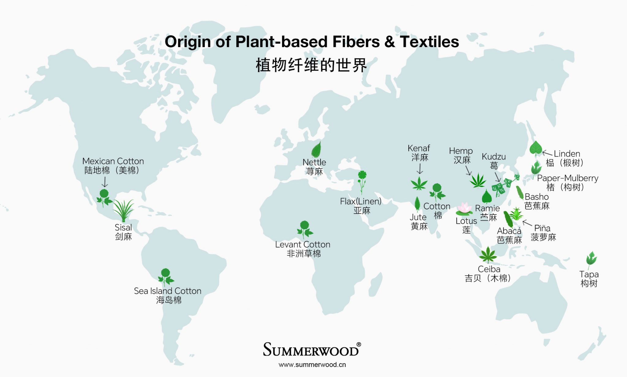 Ramie – SUMMERWOOD Textiles