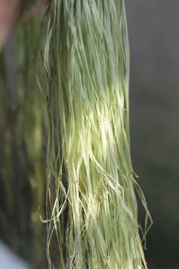 Ramie – SUMMERWOOD Textiles
